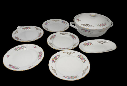Richard Ginori Zuppiera Ceramica + 5 Piatti ø 20cm + 1 Ovale Motivi Floreali