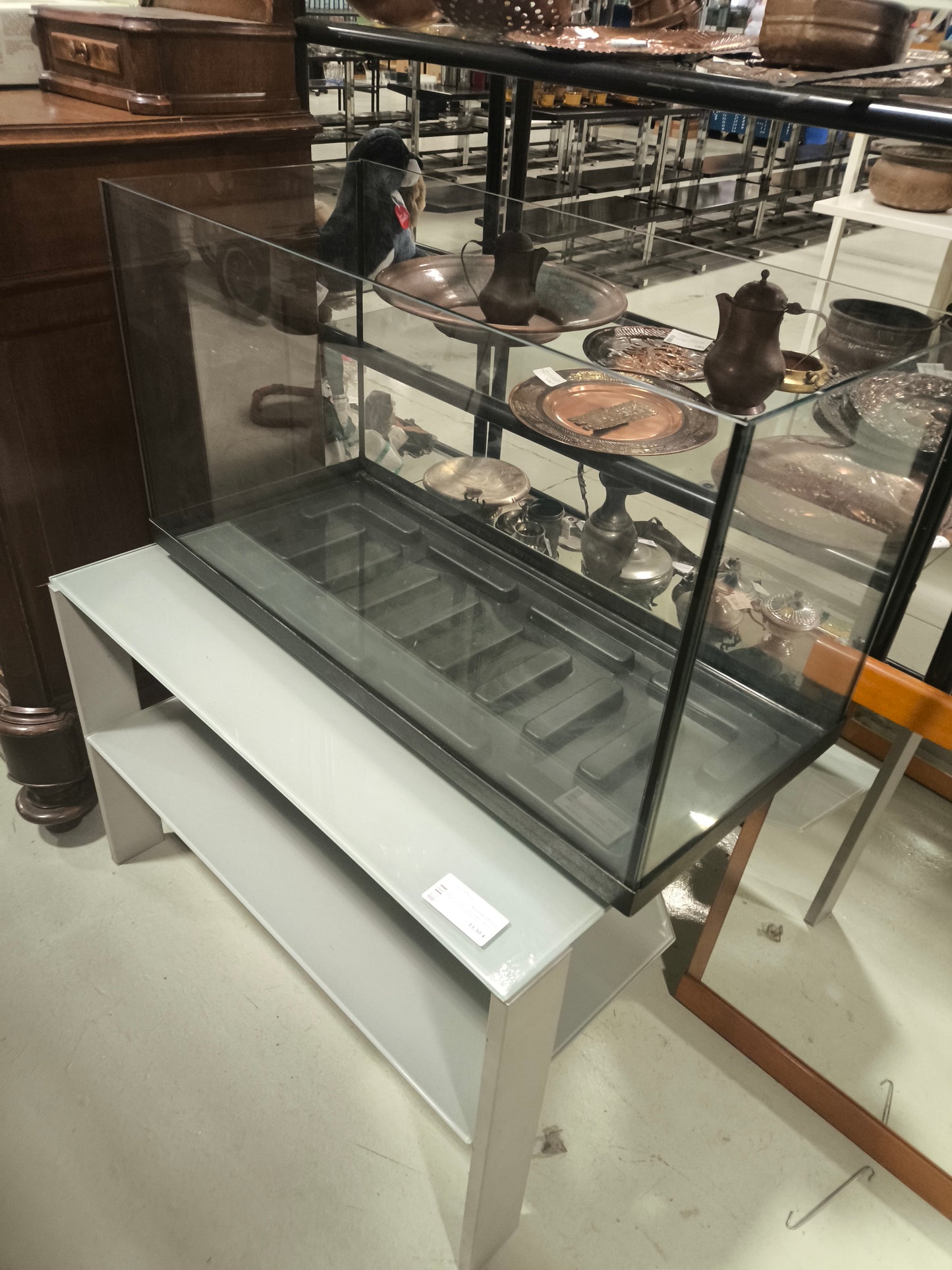 Rettilario Vasca Vetro Lxpxh 80x35x45