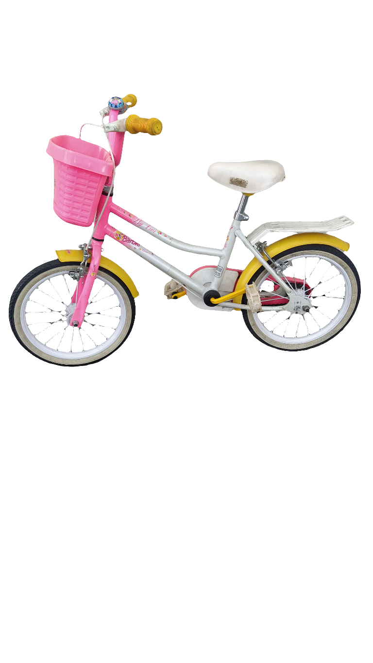 Bicicletta Bambina Barbie