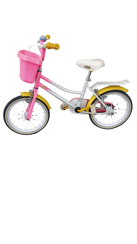 Bicicletta Bambina Barbie