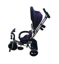 Homcom Lovely Triciclo Per Bambini Con Maniglione Con Tettuccio