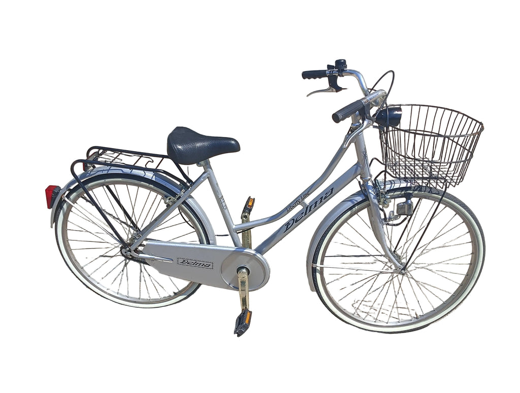 Bicicletta Donna Grigia Delma 26"